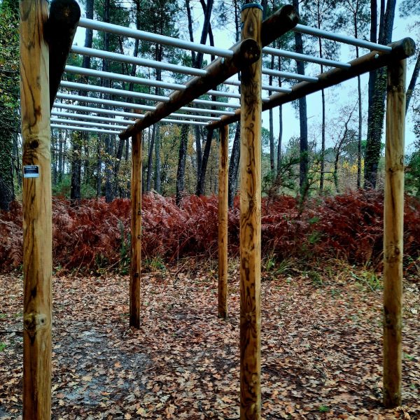 Musclez vos bras avec l'échelle horizontale. Barres en alu anodisé.