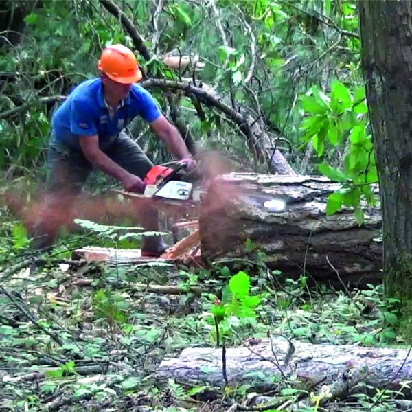 Capture d’écran 2018-12-07 à 11.48.06