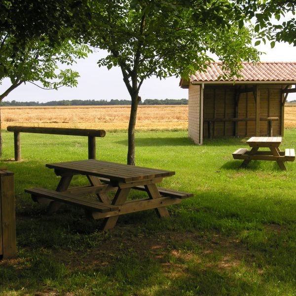 Chemins de randonnées - Aménagement en bois Boisdexter