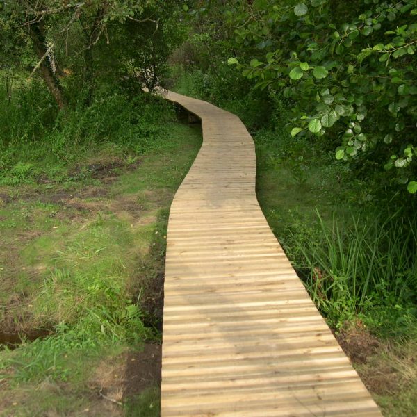 Chemins de randonnées - Aménagement en bois Boisdexter